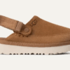 Goldenstar Clog