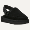 Goldenstar Clog
