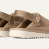 Goldenstar Clog