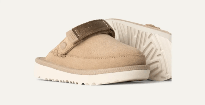 Goldenstar Clog