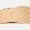 Goldenstar Clog