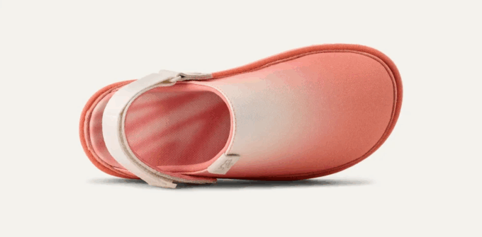 Goldenstar Clog Sunray