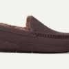 UGG Ascot
