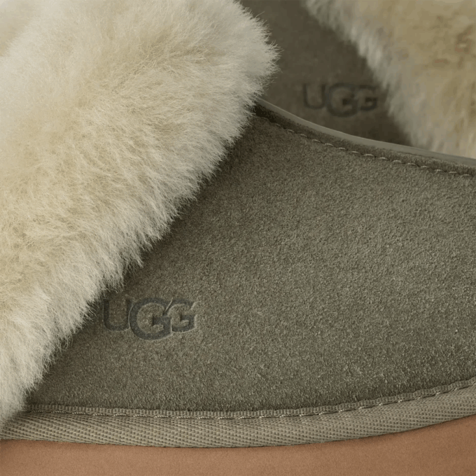 UGG Disquette